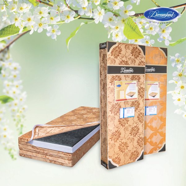 ĐỆM CHỐNG THOÁI HOÁ CỘT SỐNG