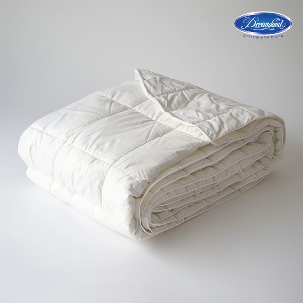 Ruột Chăn Mỏng PT